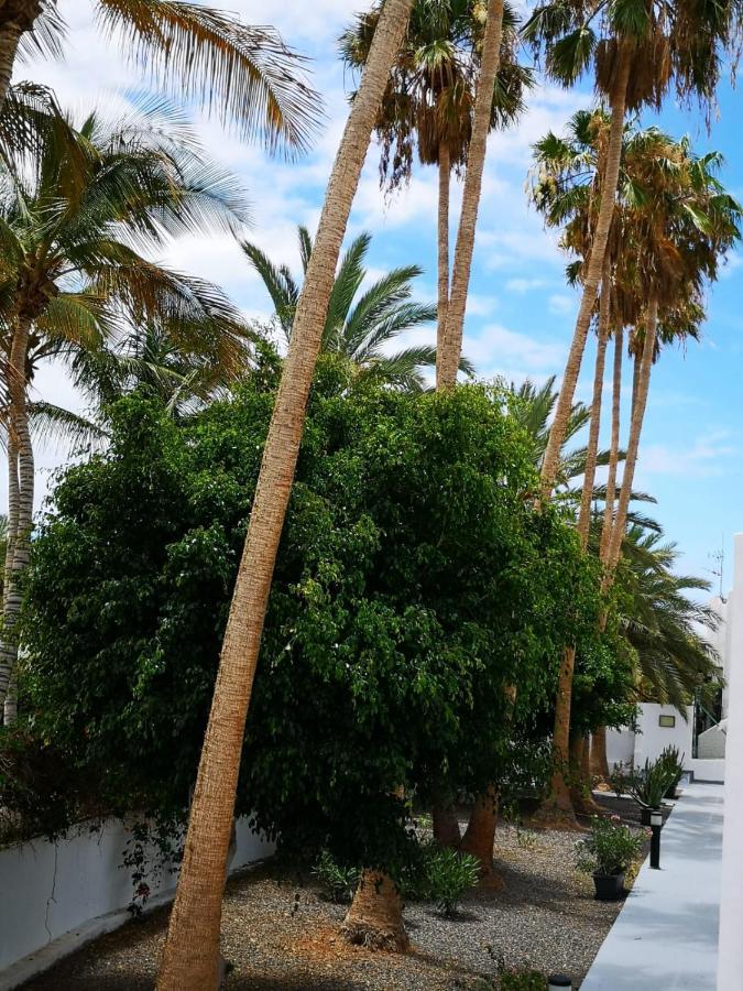 Estrella De Mar Apartman Tarajalejo Kültér fotó